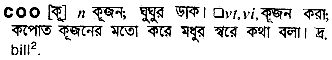 Coo meaning in bengali