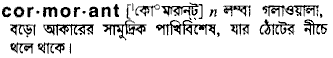 cormorant 
 meaning in bengali