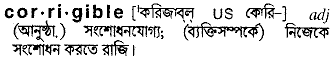 Corrigible meaning in bengali