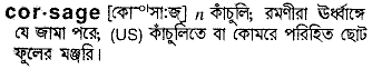 corsage 
 meaning in bengali