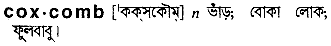 Coxcomb meaning in bengali