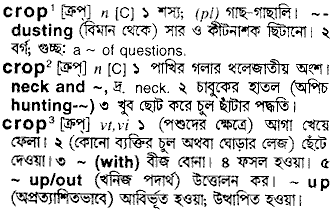 Crop meaning in bengali