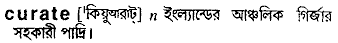 Curate meaning in bengali