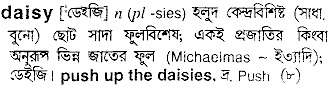 Daisy meaning in bengali