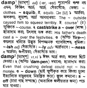 Damp meaning in bengali