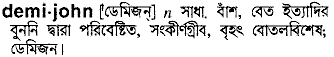 demijohn 
 meaning in bengali