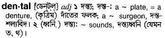 dental 
 meaning in bengali