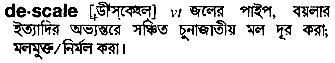 descale 
 meaning in bengali