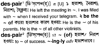 Despair meaning in bengali