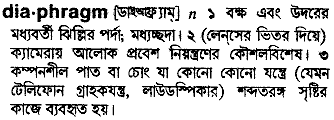 Diaphragm meaning in bengali