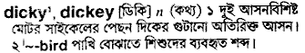 Dickey meaning in bengali