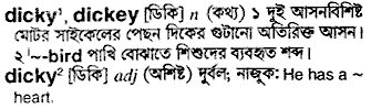 Dicky meaning in bengali