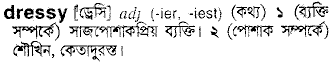 dressy 
 meaning in bengali