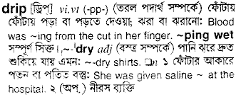 Drip meaning in bengali