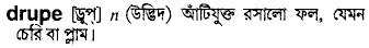 Drupe meaning in bengali