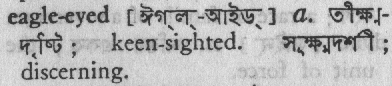 eagle eyed 
 meaning in bengali