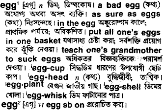 Egg meaning in bengali