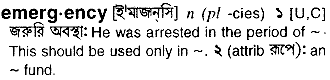 Emergency meaning in bengali