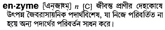 Enzyme meaning in bengali