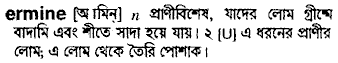 ermine 
 meaning in bengali