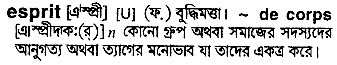 esprit 
 meaning in bengali