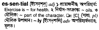 Essential meaning in bengali