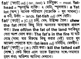 Fat meaning in bengali