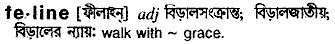 Feline meaning in bengali