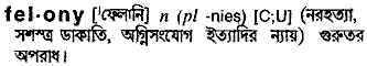 Felony meaning in bengali