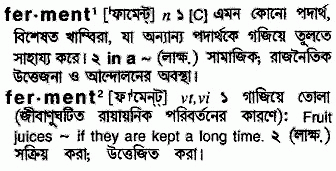 Ferment meaning in bengali