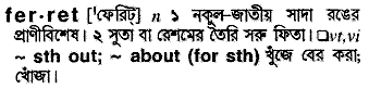 Ferret meaning in bengali