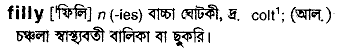 Filly meaning in bengali