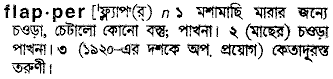 Flapper meaning in bengali