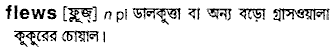 flews 
 meaning in bengali