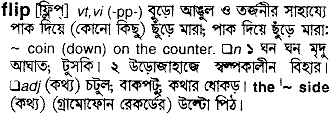 Flip meaning in bengali