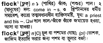 Flock meaning in bengali