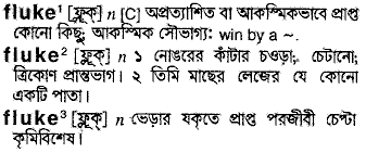 Fluke meaning in bengali