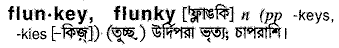 Flunky meaning in bengali