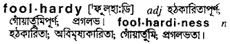 Foolhardy meaning in bengali
