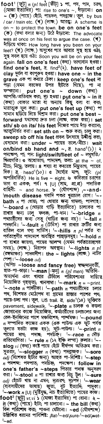 Foot meaning in bengali