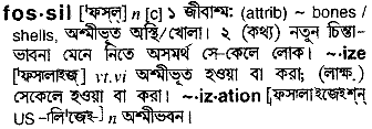 Fossil meaning in bengali