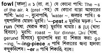 Fowl meaning in bengali