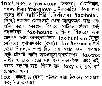 Fox meaning in bengali