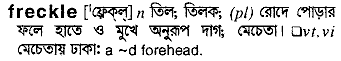 Freckle meaning in bengali