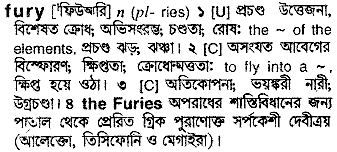 Fury meaning in bengali