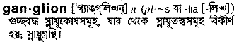 ganglion 
 meaning in bengali