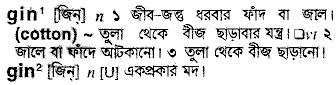 Gin meaning in bengali