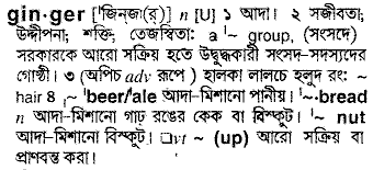 Ginger meaning in bengali