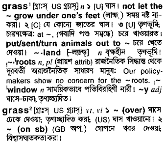 Grass meaning in bengali