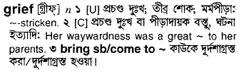 Grief meaning in bengali